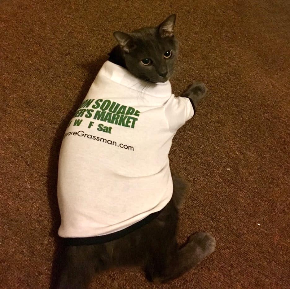 Cat in Grassman T-Shirt
